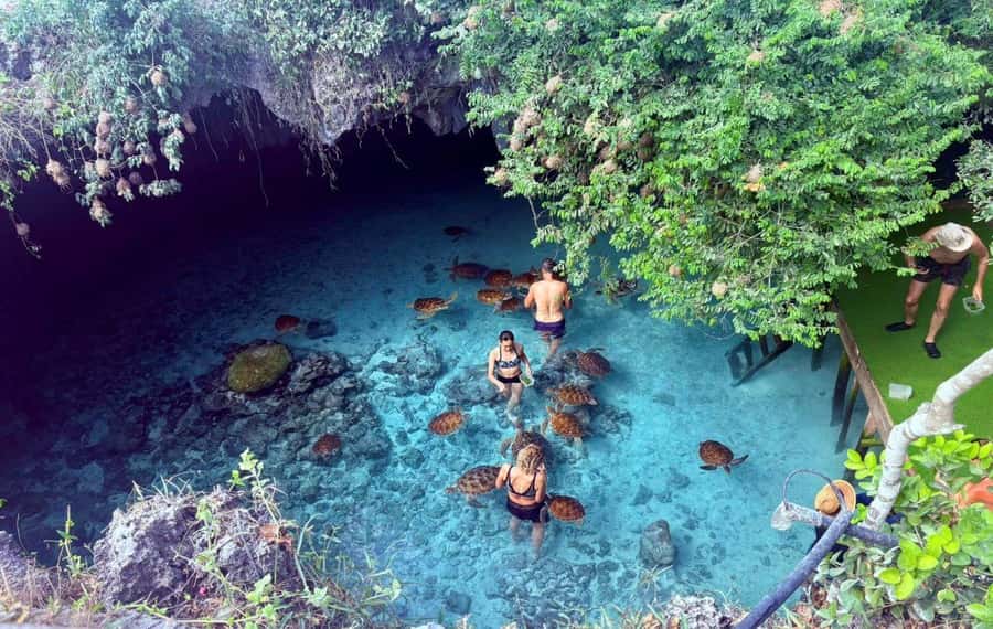 Salaam Cave Tour, Lunch at The Rock, Mnemba Dolphin Tour - The cost of covering so much Zanzibar