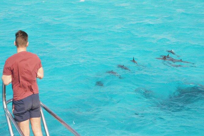 Samadai Dolphin House Snorkel Trip - Marsa Alam - Reaching Dolphin House from Marsa Alam