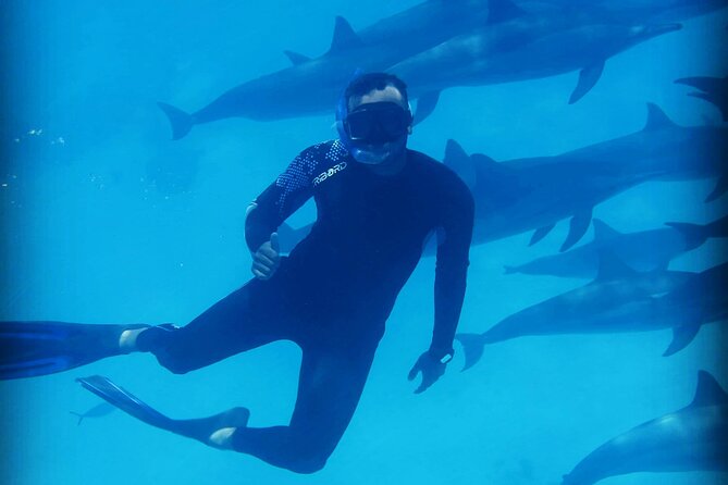 Samadai Dolphin House Snorkel Trip - Marsa Alam - Practical ways to improve your day