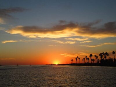 Dolphin and Whale-Watching Sunset Cruise