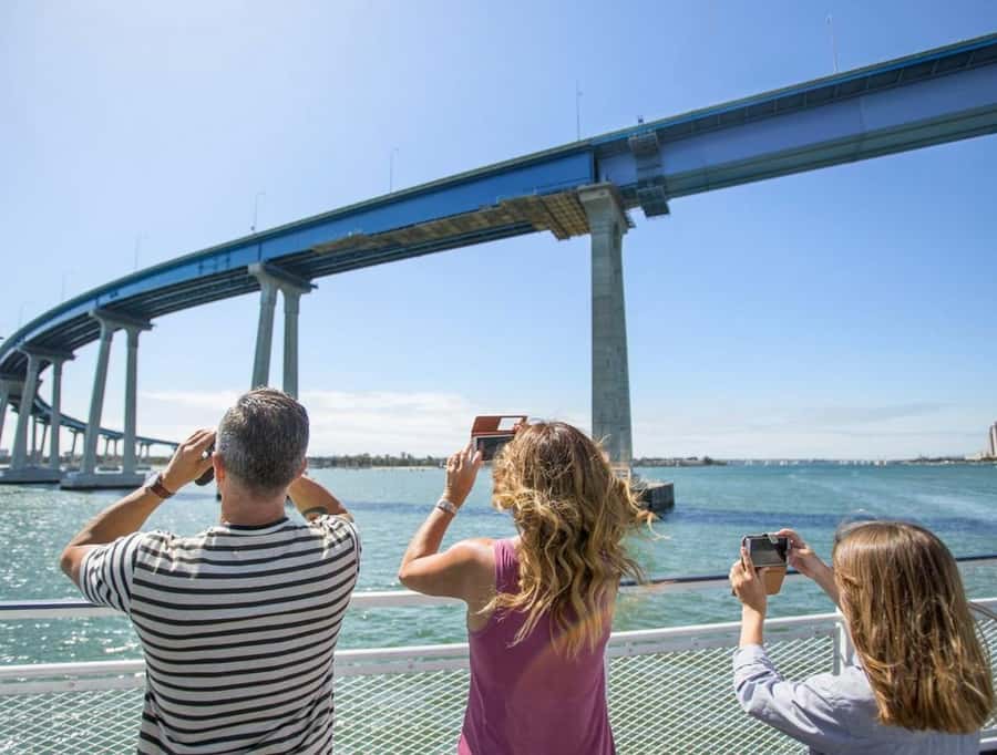 San Diego: Whale and Dolphin Watching Cruise - Dolphins often steal the show