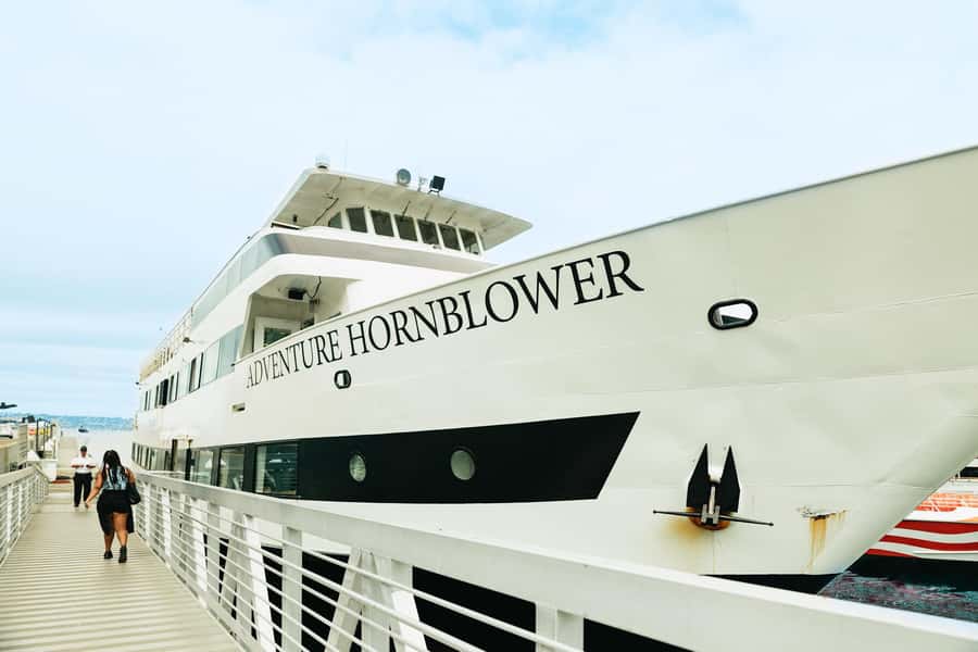 San Diego: Whale and Dolphin Watching Cruise - The naturalist narration adds real value