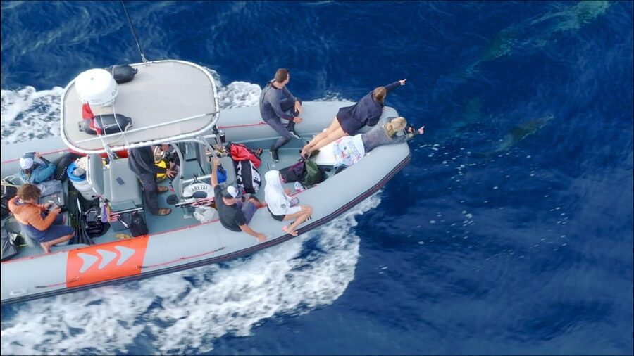 San Diego: Whale and Dolphin Watching Speedboat Tour - Comfort, motion, and practical preparation