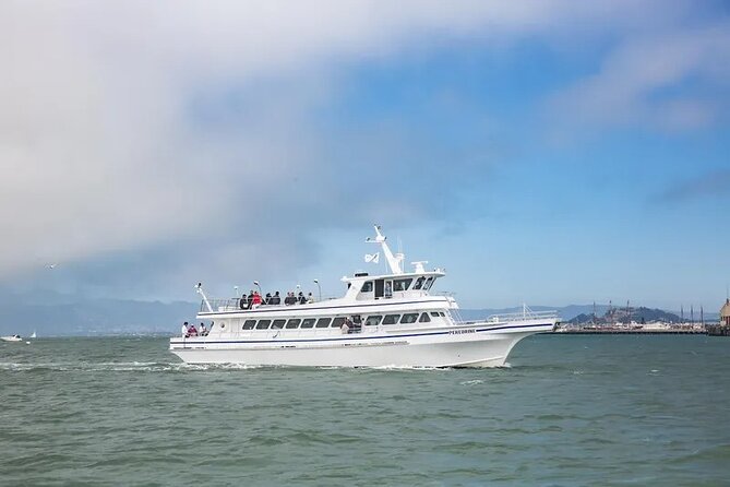 San Diego Whale/Dolphin Watching Cruise Aboard Luxury Vessel - Dolphins often steal the afternoon