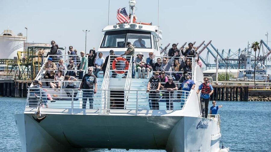 San Pedro: West Harbor LA Dolphin & Whale Watching Cruise - Dolphins, sea lions, and birds may steal the show