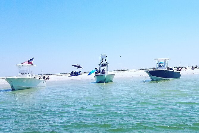 Sandbar, Beach, Dolphin Watching Cruise Sarasota, Florida - What makes this Sarasota boat trip special