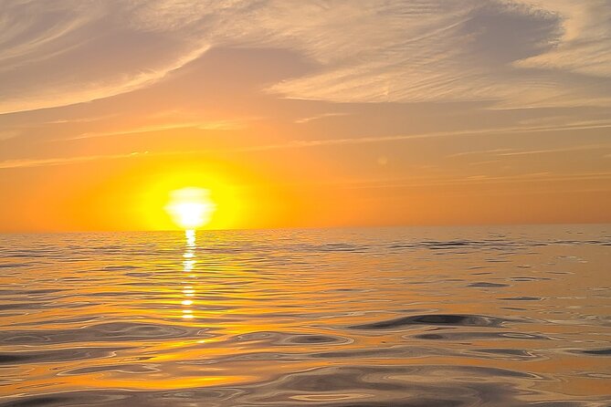 Sandbar, Beach, Dolphin Watching Cruise Sarasota, Florida - Sightseeing along Sarasota and Siesta Key