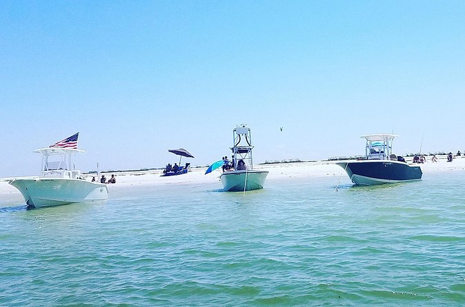 Sandbar, Beach, Dolphin Watching Cruise Sarasota, Florida - What the $495 group price really means