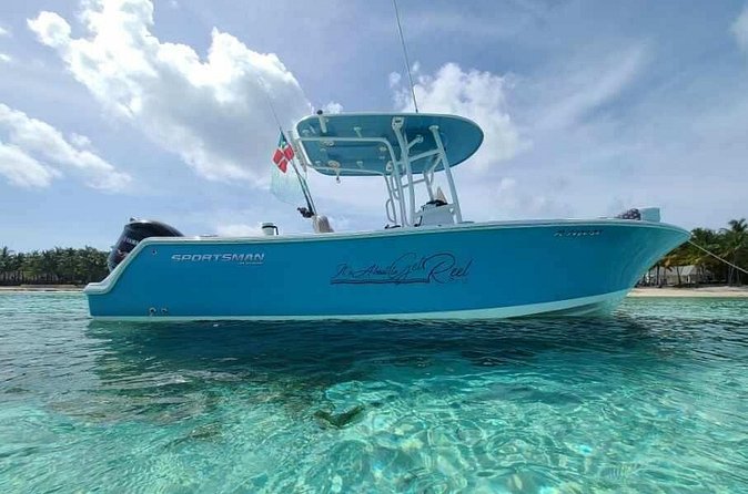 Sandbar, Beach, Dolphin Watching Cruise Sarasota, Florida - What to pack for a smoother day