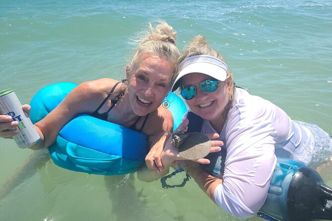 Sandbar, Beach, Dolphin Watching Cruise Sarasota, Florida - Weather, timing, and booking details