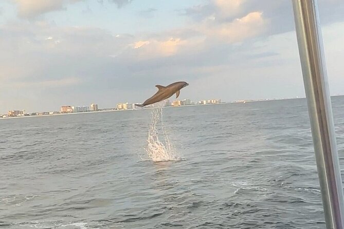 Sandestin Sunset Eco-Dolphin Cruise Aboard Sol y Luna - Choctawhatchee Bay sets the mood