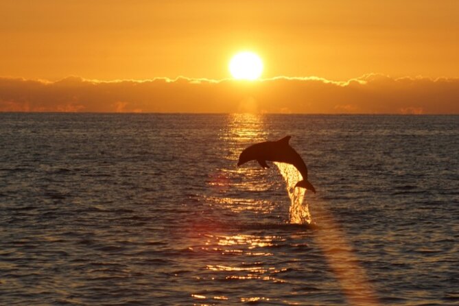 Sandestin Sunset Eco-Dolphin Cruise Aboard Sol y Luna - Weather and cancellation details worth knowing