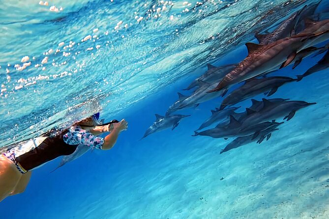 Sataya Dolphin House Snorkel Trip - Marsa Alam - Lunch on board between the water stops