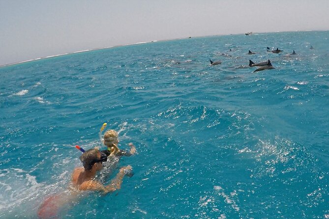 Sataya Dolphin House Snorkel Trip - Marsa Alam - The second snorkeling stop and coral reef
