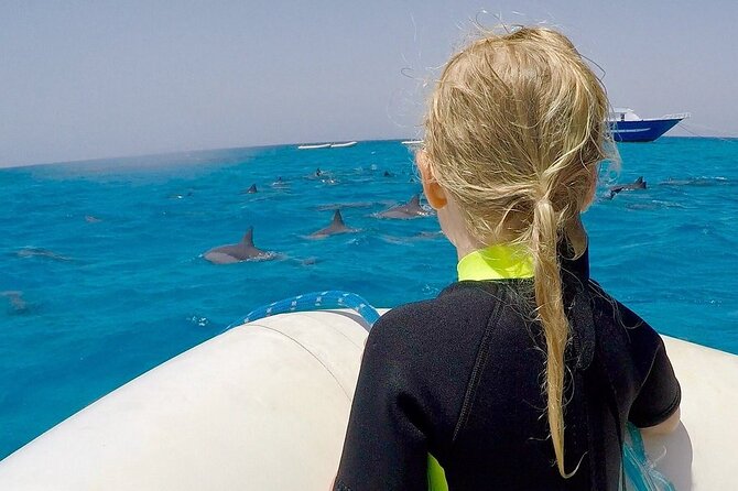 Sataya Dolphin House Snorkel Trip - Marsa Alam - What the $92 price really covers