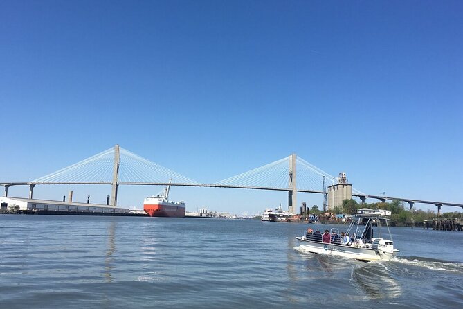 Savannah Coastal Dolphin Eco Tour - Key points to know before you go