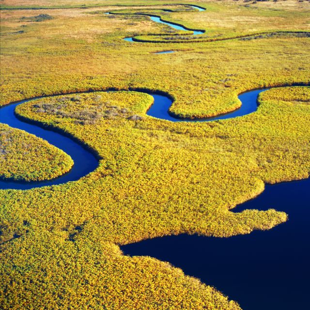 Savannah: Dolphin Spotting and Wildlife Eco Cruise - Comfort aboard the River Explorer