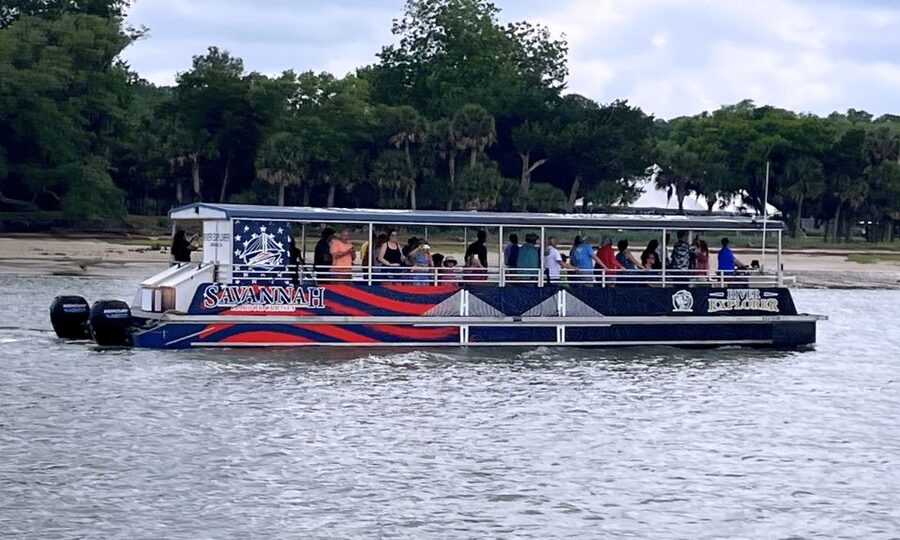 Savannah: Dolphin Spotting and Wildlife Eco Cruise - Searching for dolphins in the Savannah waterways