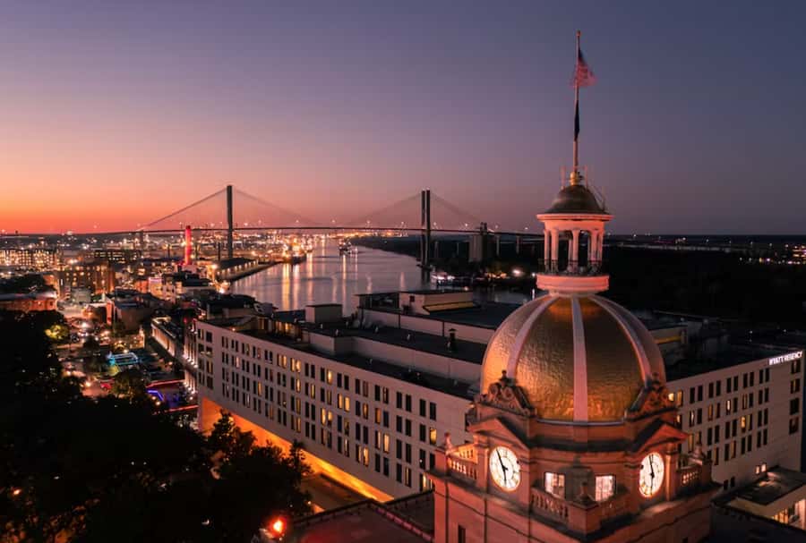 Savannah: Sunset Dolphin Watching Eco Tour by Boat - Birds, river life, and the Lowcountry ecosystem