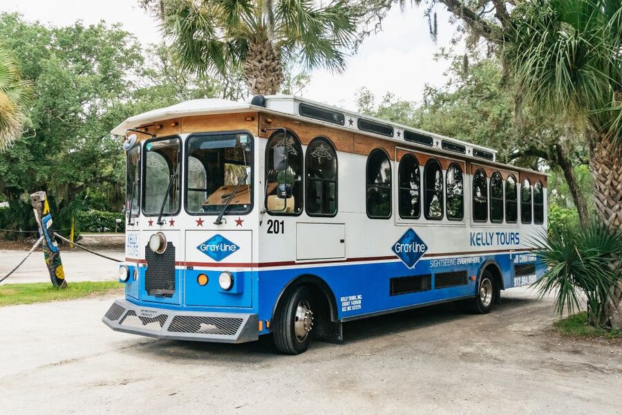 Savannah: Tybee Island Dolphin Tour - Why the guides matter so much