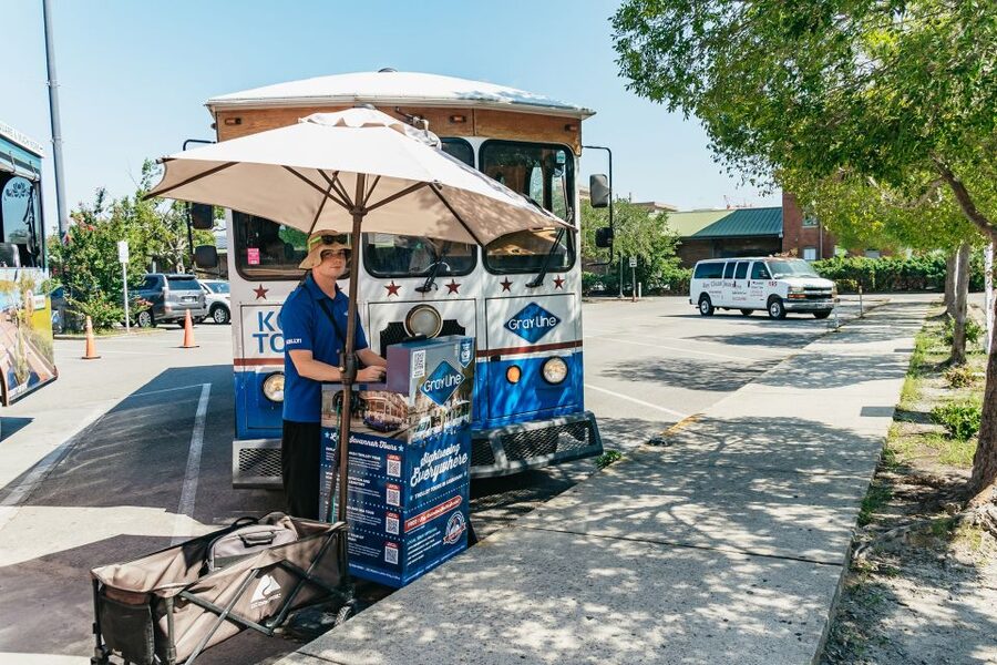 Savannah: Tybee Island Dolphin Tour - Is $74 a fair price?
