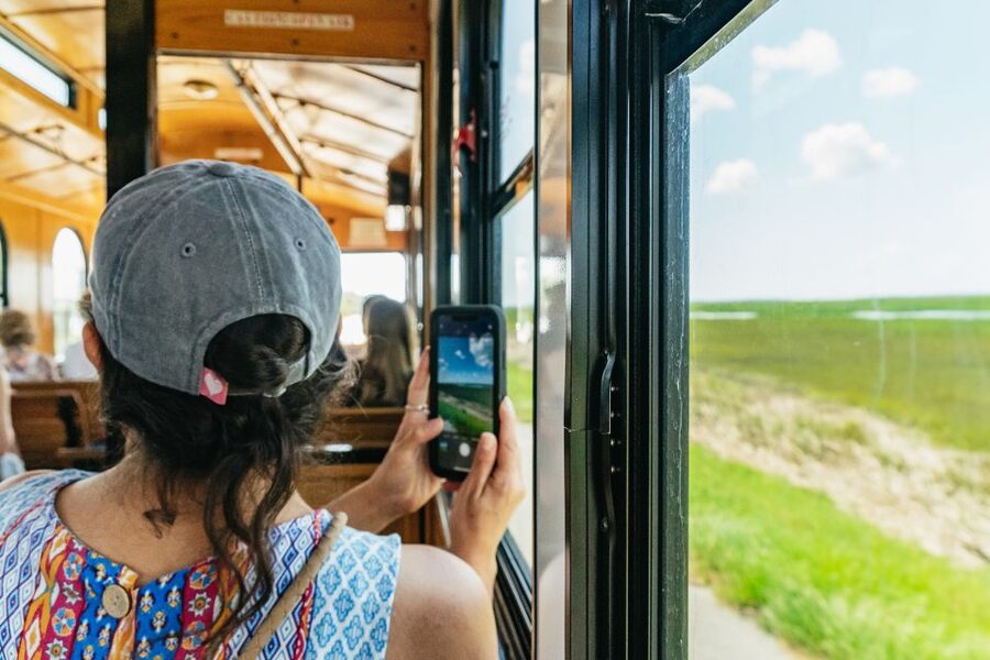 Savannah: Tybee Island Dolphin Tour - Who will enjoy this Tybee day trip?