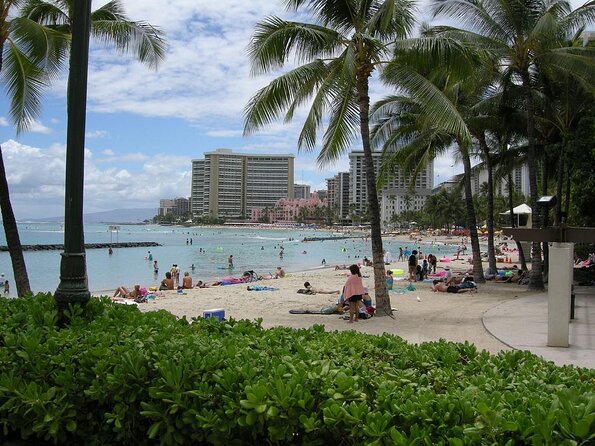 Sea Safari, Dolphins, Turtles and Waikiki Cruise - Key points to know before booking