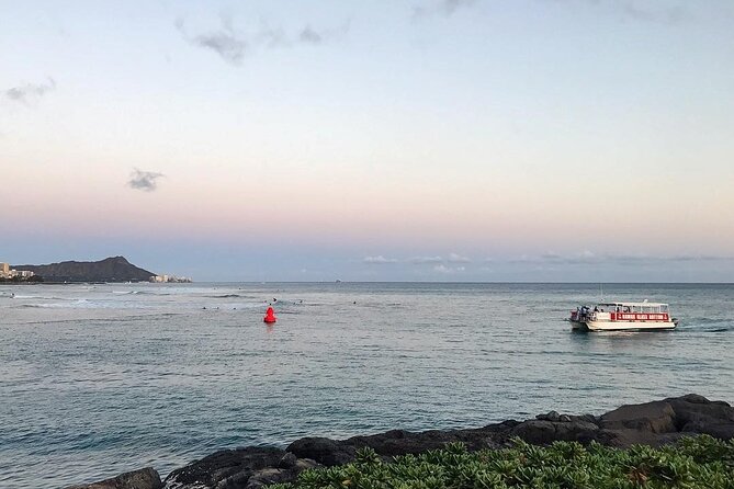 Sea Safari, Dolphins, Turtles and Waikiki Cruise - How realistic are the dolphin, turtle, and whale sightings?
