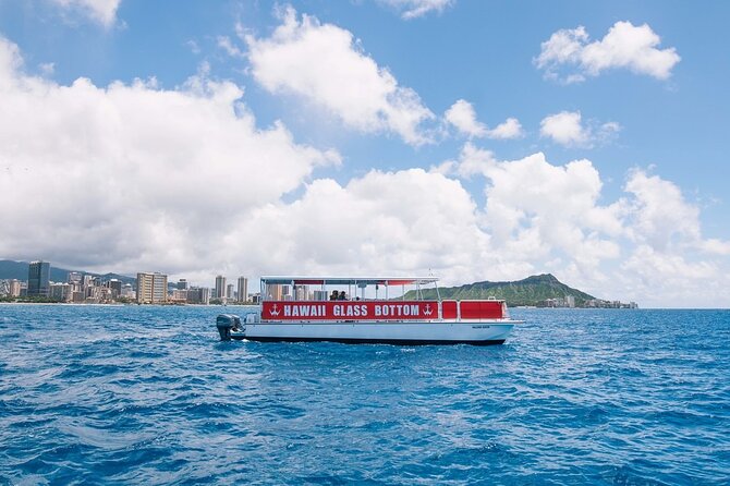 Sea Safari, Dolphins, Turtles and Waikiki Cruise - Who will enjoy this cruise most?