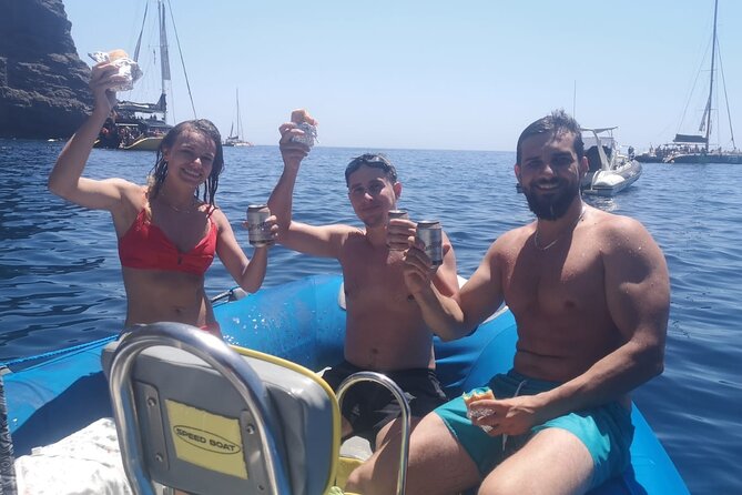 SEA SAFARI Dolphins, Whales, 3h speedboat DISCOVERY-TOUR - Key points to know before you book