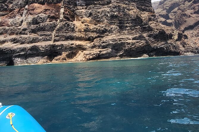 SEA SAFARI Dolphins, Whales, 3h speedboat DISCOVERY-TOUR - Seeing Tenerife from the coastal side