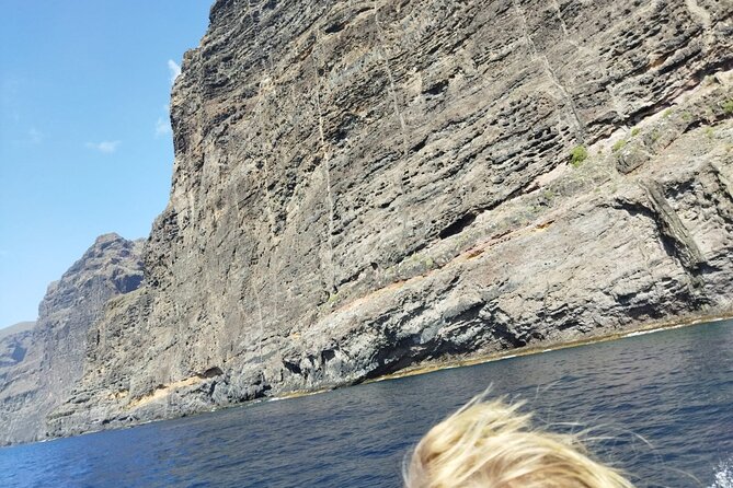 SEA SAFARI Dolphins, Whales, 3h speedboat DISCOVERY-TOUR - Is this a good family trip?