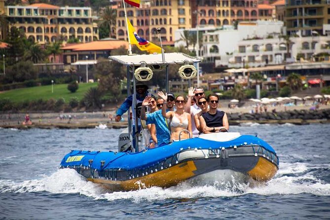 SEA SAFARI, Dolphins, Whales, snorkeling, snack and drink, 2 h speedboat - Looking for dolphins and whales in the wild