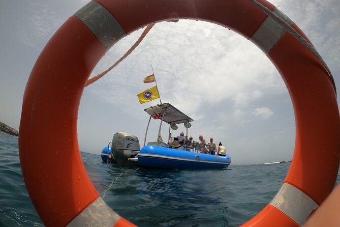 SEA SAFARI, Dolphins, Whales, snorkeling, snack and drink, 2 h speedboat - Weather and the practical side of booking