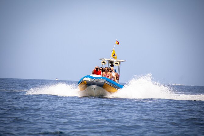 SEA SAFARI Dolphins,Whales, snorkeling, snack, drink, 3h private - Key points at a glance