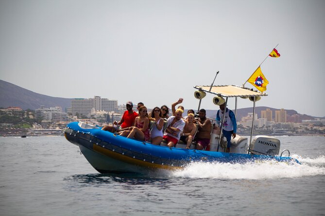 SEA SAFARI Dolphins,Whales, snorkeling, snack, drink, 3h private - What the private format really changes