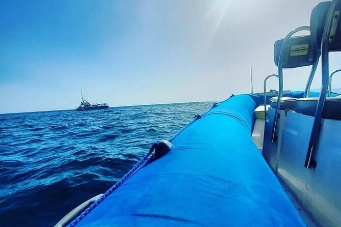 SEA SAFARI Dolphins,Whales, snorkeling, snack, drink, 3h private - Sandwiches, soft drinks, and the small comforts