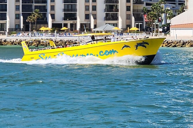 Sea Screamer Clearwater's Only Speed Boat Dolphin Watching - Sea Screamer at a glance