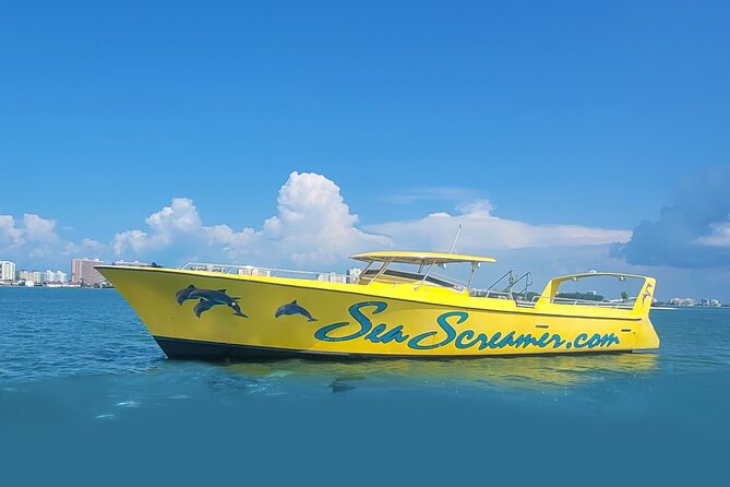 Sea Screamer Clearwater's Only Speed Boat Dolphin Watching - Why the boat matters on Clearwater’s open water