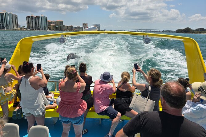 Sea Screamer Clearwater's Only Speed Boat Dolphin Watching - Is $37 a good value?