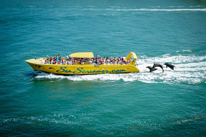 Sea Screamer Clearwater's Only Speed Boat Dolphin Watching - Leaving 25 Causeway Boulevard