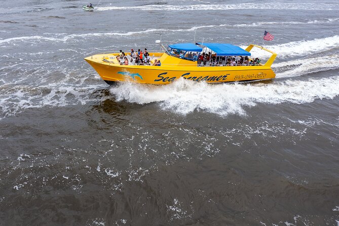 Sea Screamer Cruise - 2 Hour Dolphin Watch Tour in South Carolina - Starting at 4499 Mineola Avenue in Little River