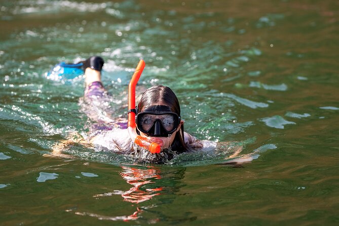 Sea Wonders Dolphin Watching and Snorkeling in Muscat - Key points at a glance