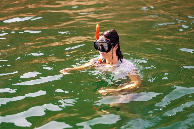 Sea Wonders Dolphin Watching and Snorkeling in Muscat - Starting from Muscat at 10:00 am