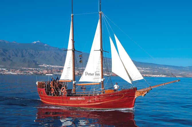 Sealife Dolphin & Whale Watching aboard Portuguese schooner - Who Will Enjoy This Schooner Trip