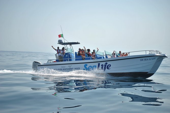 Sealife Sea Safari, Dolphin Watching with Marine Biologist's Lagos - The marine biologist makes the difference