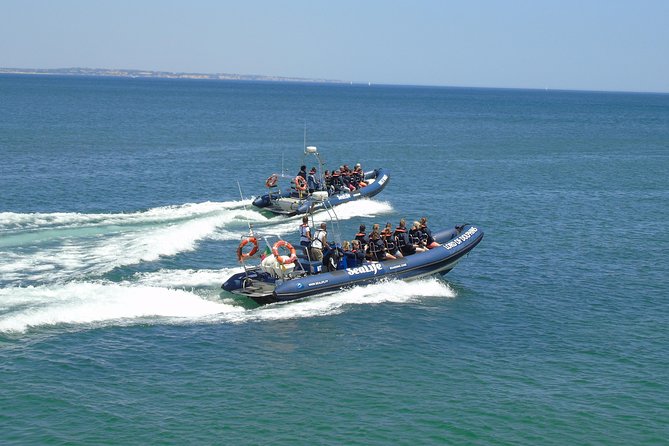 Sealife Sea Safari, Dolphin Watching with Marine Biologist's Lagos - What the 90-minute schedule feels like