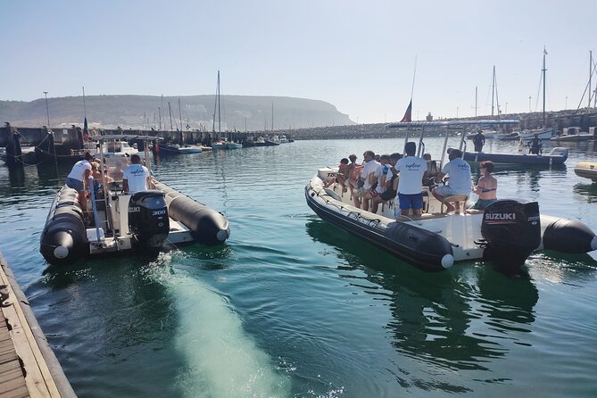 Sesimbra: Arrábida Dolphin and Whale Watching tour with biologist - Who will enjoy this trip most