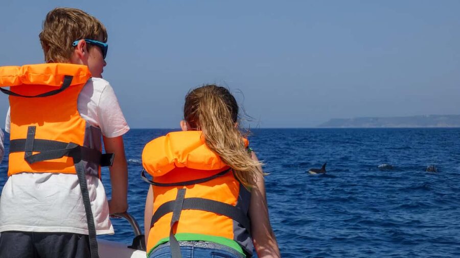 Sesimbra: Arrábida Dolphin and Whale Watching with Biologist - Returning to Sesimbra after the final coastal views