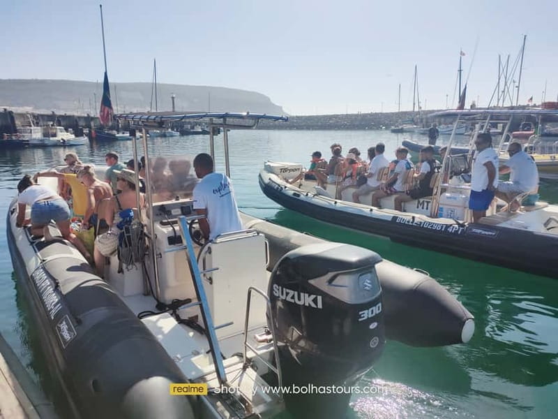 Sesimbra: Dolphin and Whales Watching with Biologist Guide - The best parts of this Sesimbra boat trip